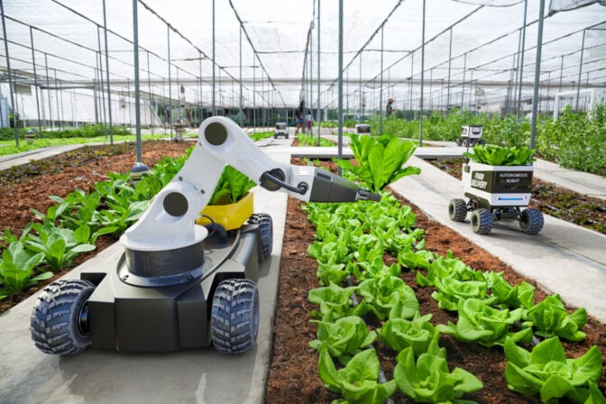 AI Is Rewriting Africa’s Job Market. Agriculture Shows the Playbook.