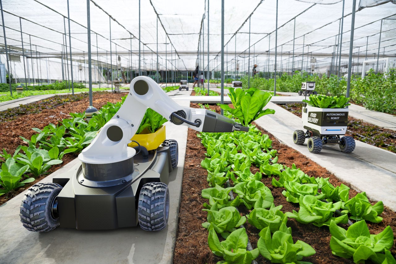 AI Is Rewriting Africa’s Job Market. Agriculture Shows the Playbook.
